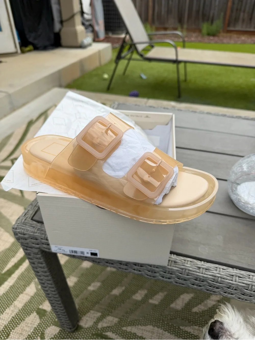 Dolce Vita Nude Tan Transparent Buckle Slide Sandals